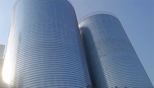 保康2座混凝土高架卷板仓